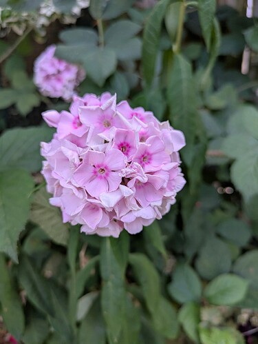 PXL_20250714_163349403