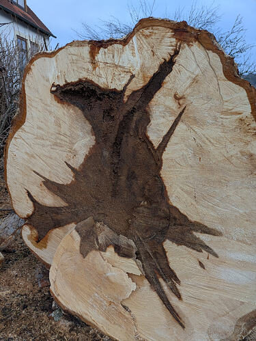 PXL_20260208_151125461