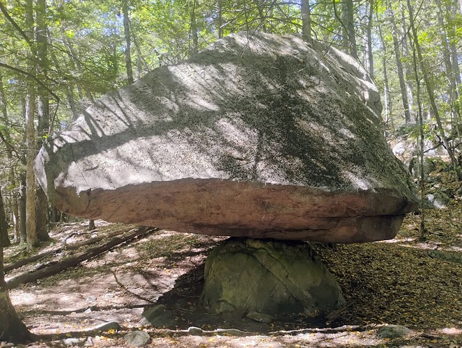 IMG_20250822_143151528_AE