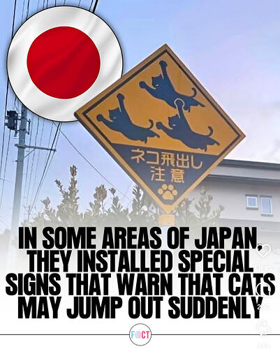 Screenshot_20260130-184104