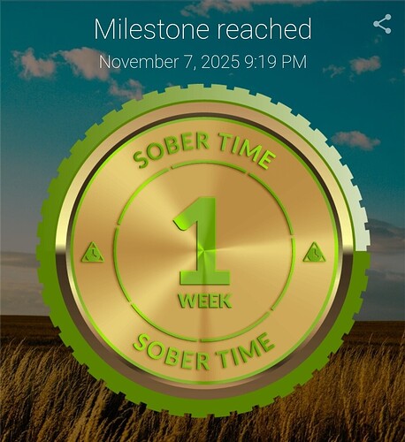 Screenshot_20251108_072719_Sober Time