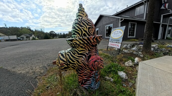 IMG_20250425_163851_00_009_2025-04-26_01-51-45_screenshot