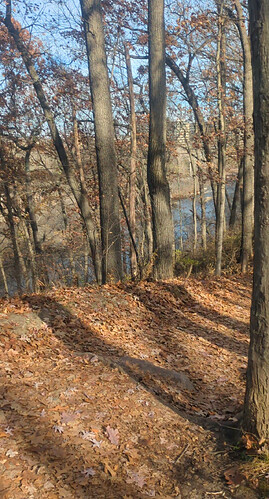 Screenshot_20251122-135109