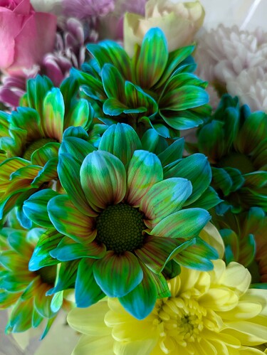 PXL_20250524_083607615