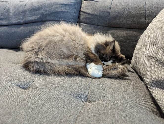 PXL_20240127_145848301