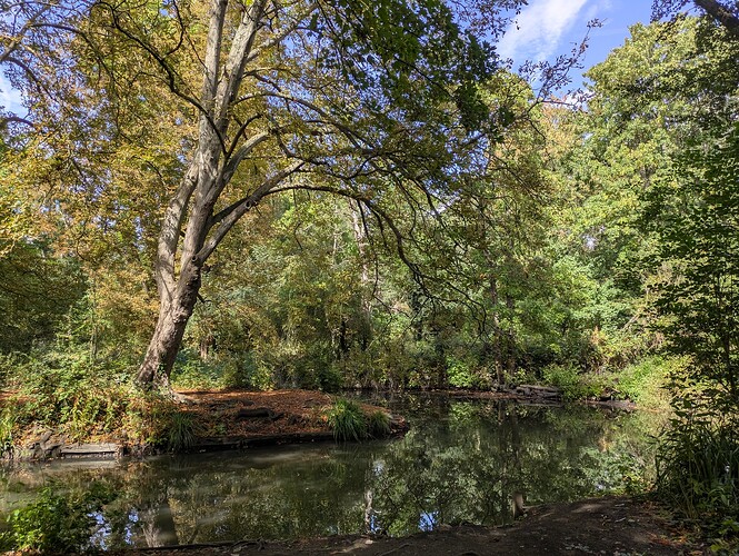 PXL_20250828_131424813