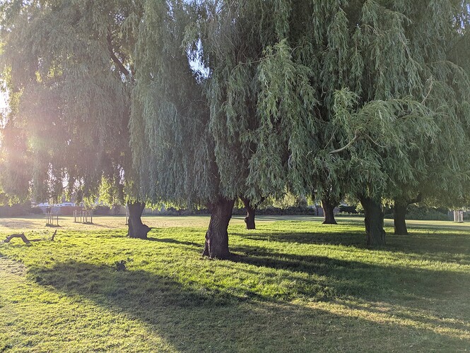 PXL_20250522_052618555