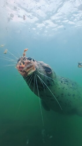 2665b1c7b4c84a8cfeeced19a92f56fb_233266.36666666667_1764979375828