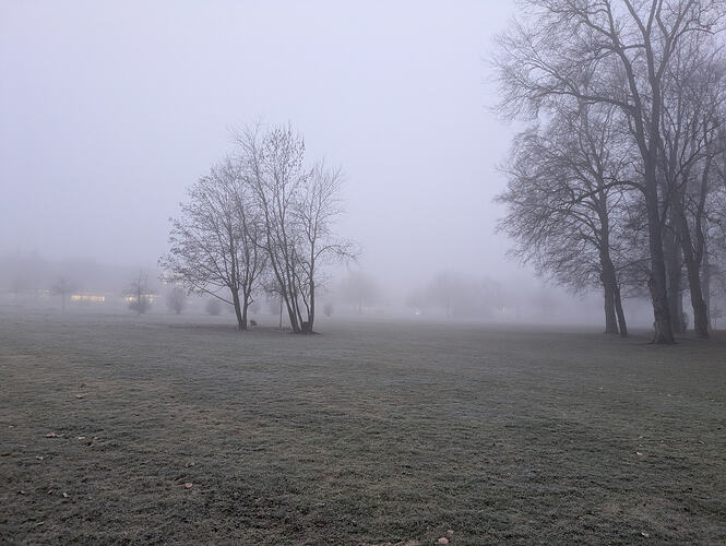 PXL_20260210_062246571