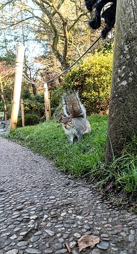 IMG_20250202_093719_310~2