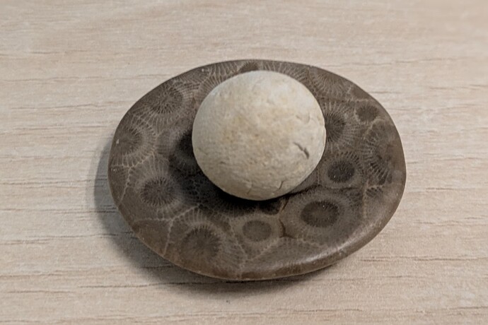 PXL_20250712_080657671.PORTRAIT