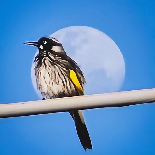 IMG_20250905_183031_627