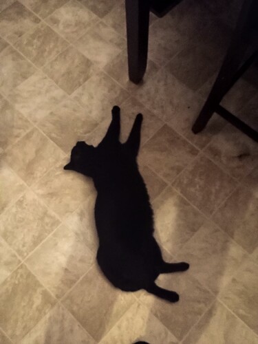 IMG_20250712_215531479