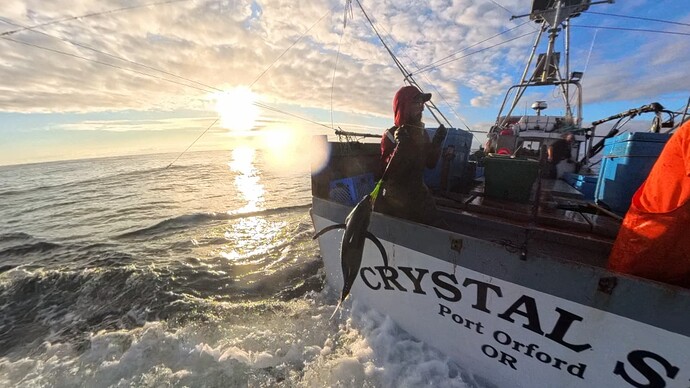 VID_20250816_191051_00_002_005_2025-08-22_04-24-08_screenshot