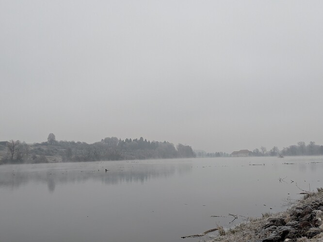 PXL_20251123_085643573