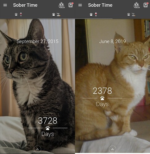 Merged_image