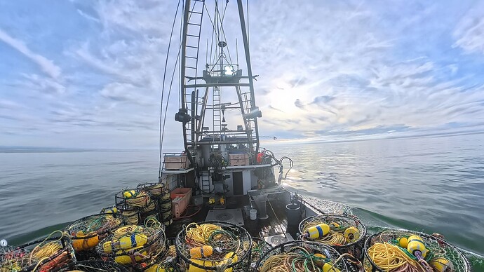 e0cf561e34240dd570d6544f9b2a8370_49449.4_1768968049803