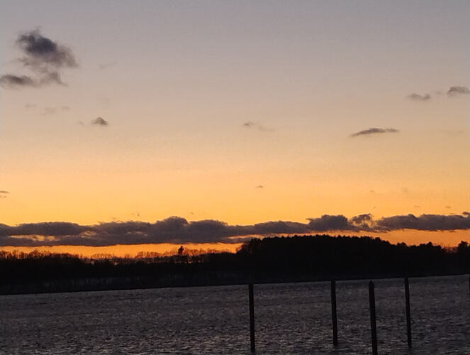 IMG_20260129_171303942