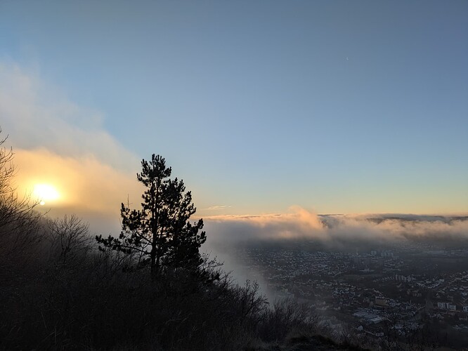 PXL_20251215_073758170