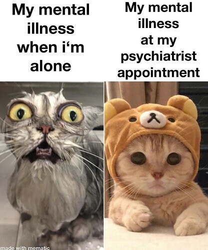 mh-meme-1-touuz5uhciqd1