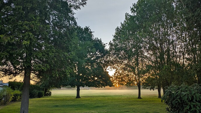 PXL_20250908_053746434~2