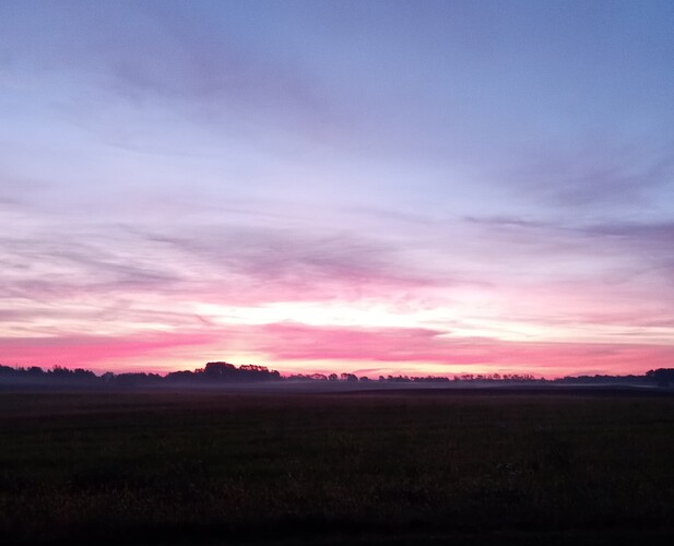 IMG_20251001_063530427