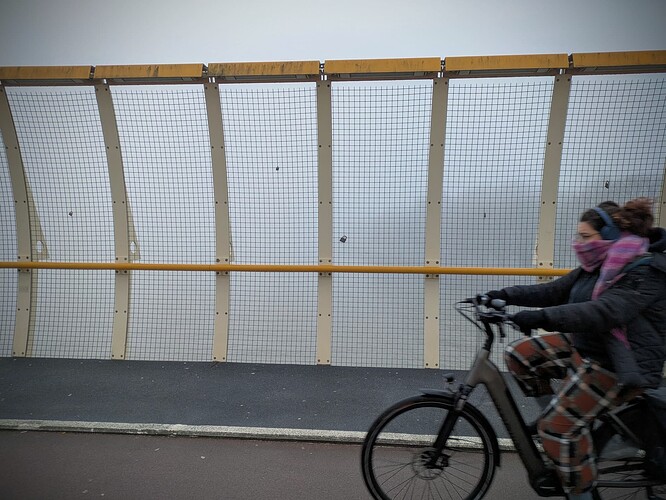 PXL_20250115_091827797 (2)