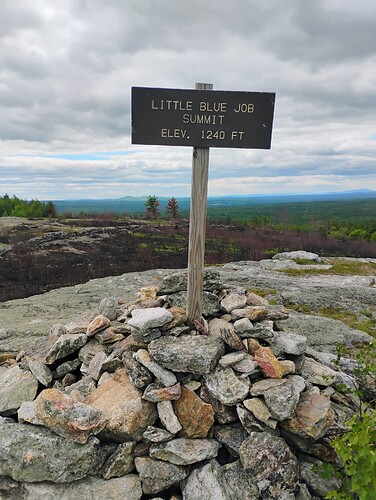 IMG_20250601_141959429_AE