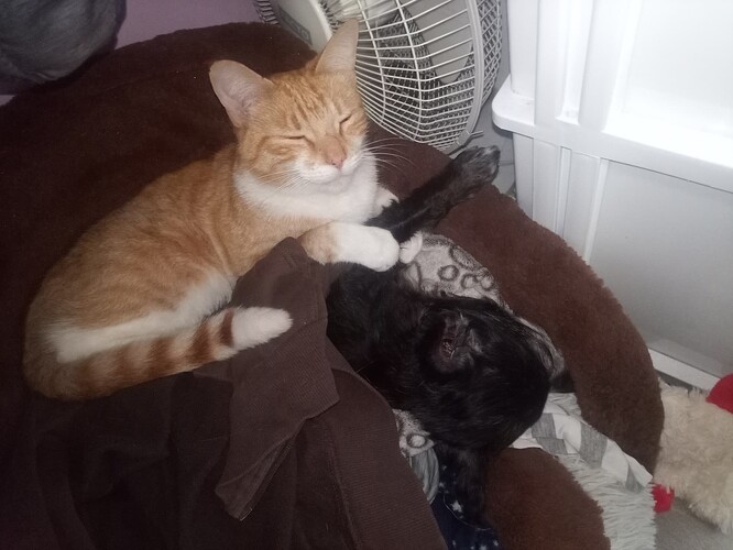 IMG_20251022_140014_101