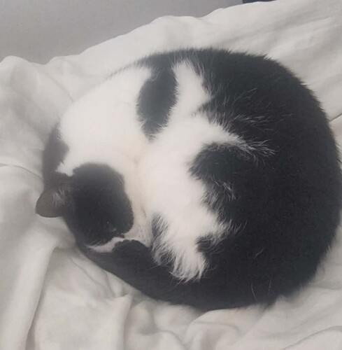 Messenger_creation_598A644C-0012-434C-8BD9-02A58BEA3F08