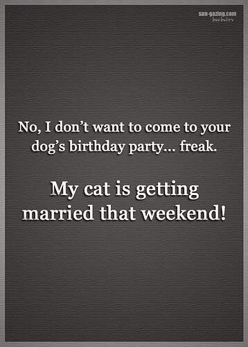 FB_IMG_1701877090909