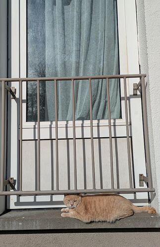 PXL_20260301_113748610