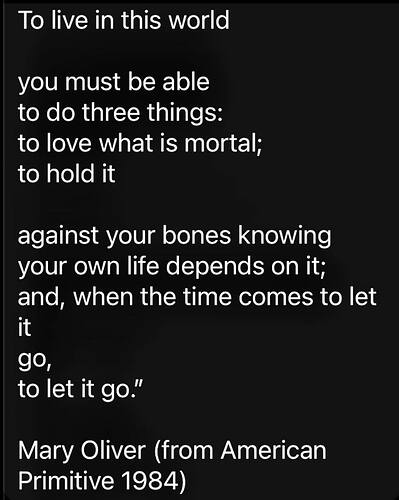 605723410_1277541591083847_5090640512639454511_n