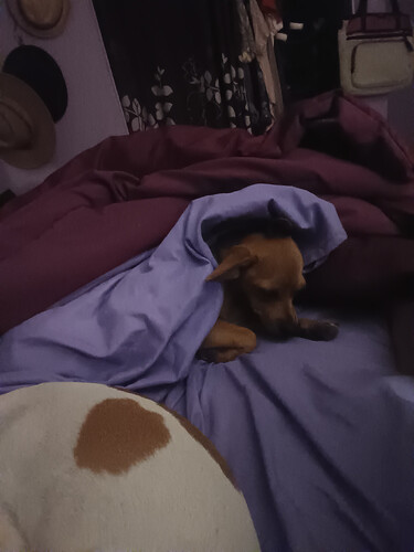 IMG_20250815_002155_9