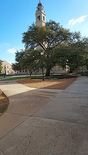 IMG020250310_090101