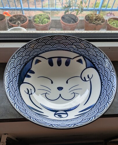 PXL_20251211_105159320