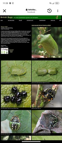 Screenshot_20250920-115809