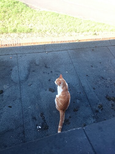 IMG_20170709_080442(1)