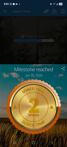 Screenshot_20260130_080351_Sober Time