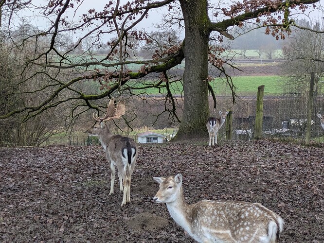 PXL_20251213_080122298