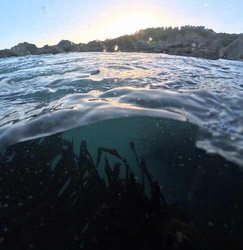 VID_20251003_181229_00_009_2025-10-08_07-56-17_screenshot