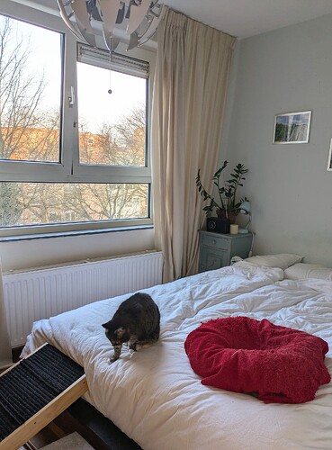 PXL_20250217_072802630~2