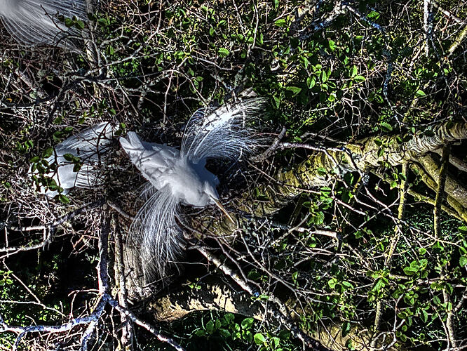 DJI_20260413172646_0365_D_Enhancer