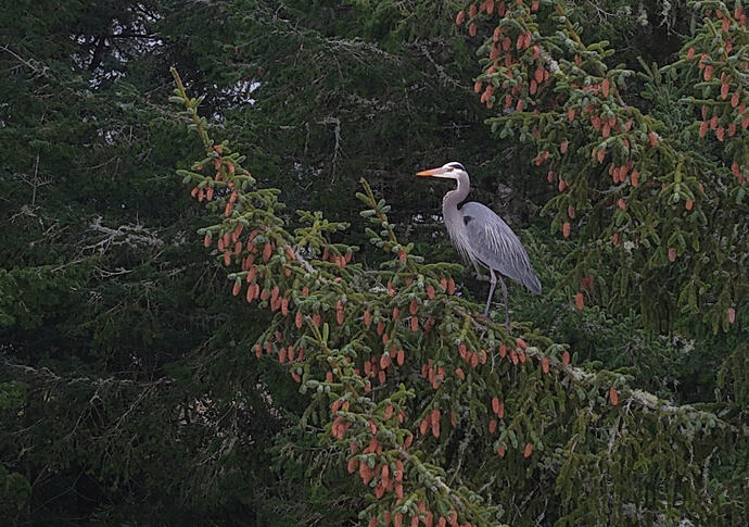 DJI_20260307164730_0179_D