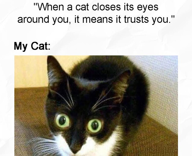 Screenshot_20250806-191944