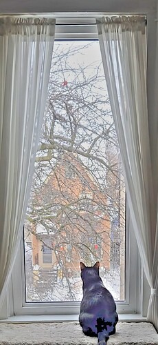 Picsart_25-02-15_17-28-59-860