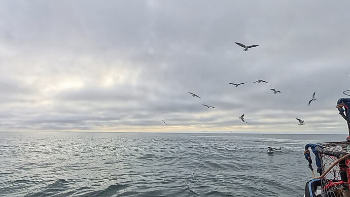 03eeb2e39abe82dd390cd4a2155b64c1_3613710.1_1769440994954