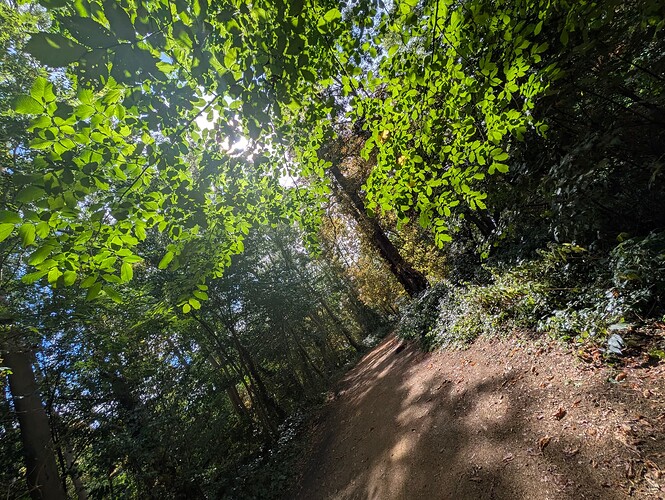 PXL_20250828_131500105