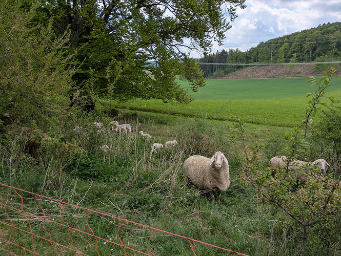 PXL_20260508_122454254