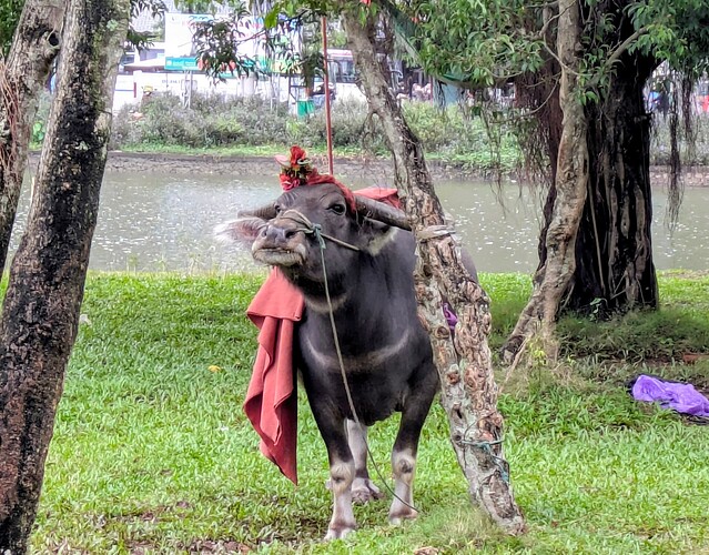 PXL_20251104_055336492~2